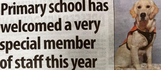 Our School Dog, Pippa, Shines in the Local Newspaper! Our School Dog, Pippa, Shines in the Local Newspaper!